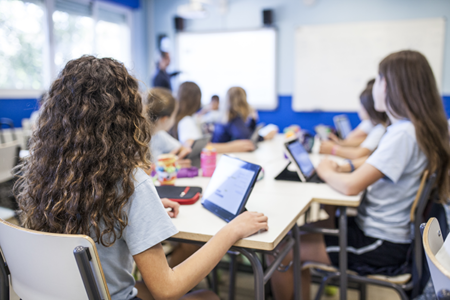 Naplan offer NAPLAN online training